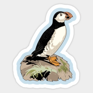 Atlantic puffin Sticker